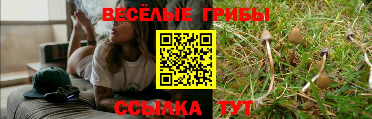 Галлюциногенные грибы Cubensis  Галлюциногенные грибы прущие грибы  Нижнеудинск  Вход с VPN 