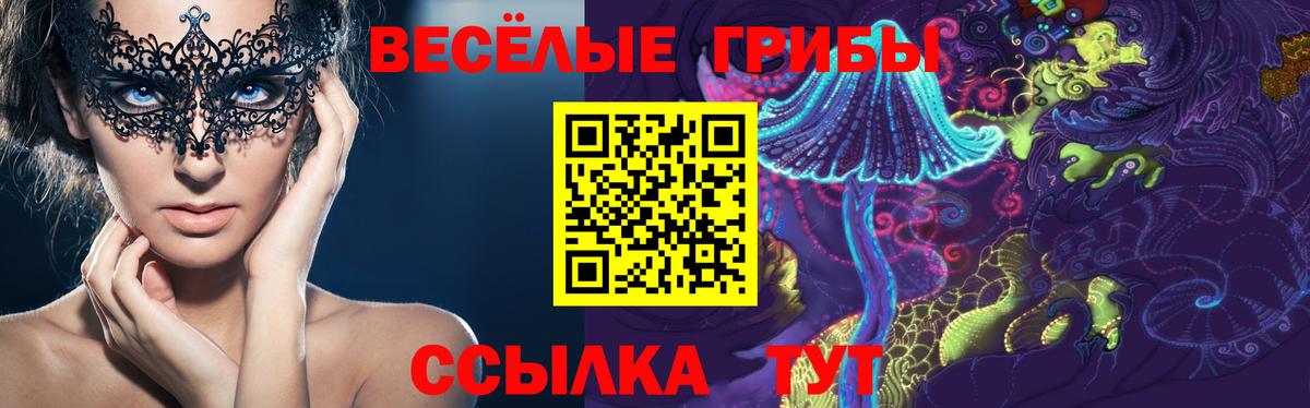 Псилоцибиновые грибы прущие грибы Нижнеудинск